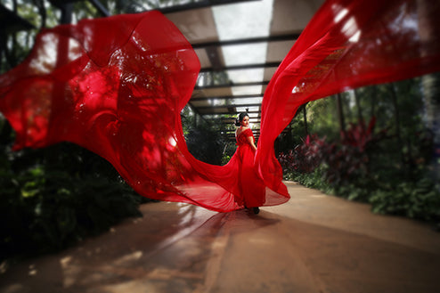 Pree Wedding Long Gown Red Colour