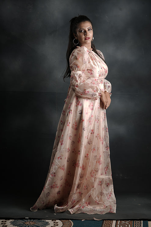 Pree Wedding And Party Wear Gown