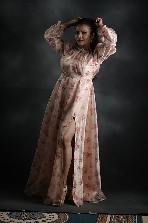 Pree Wedding And Party Wear Gown