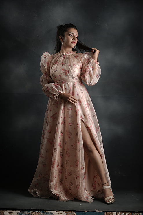 Pree Wedding And Party Wear Gown