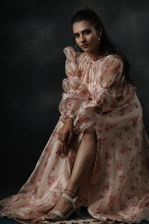 Pree Wedding And Party Wear Gown