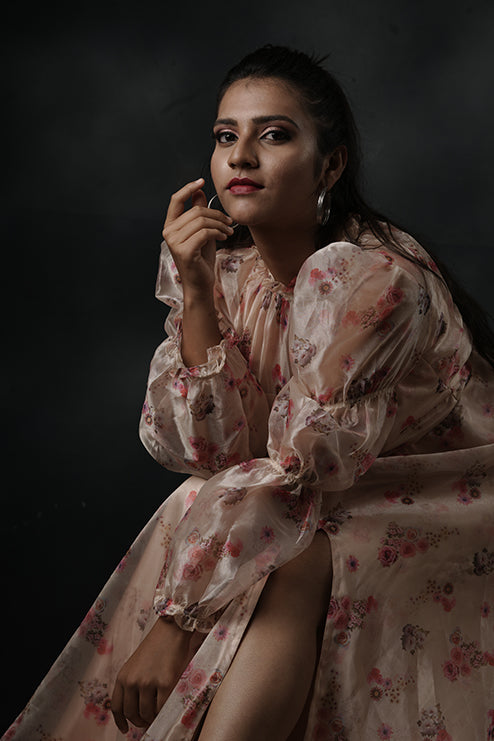 Pree Wedding And Party Wear Gown