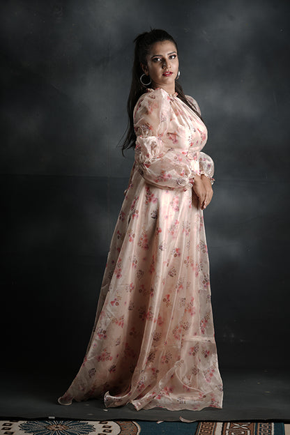 Pree Wedding And Party Wear Gown
