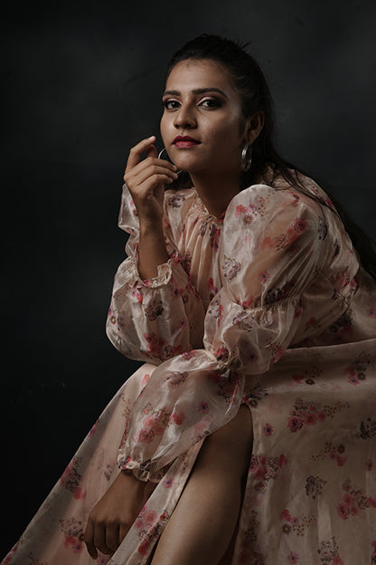 Pree Wedding And Party Wear Gown